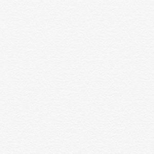 Meet your Posher, Alivia